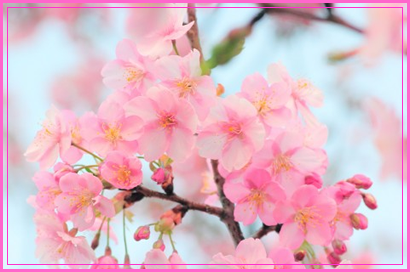 秘すれば花